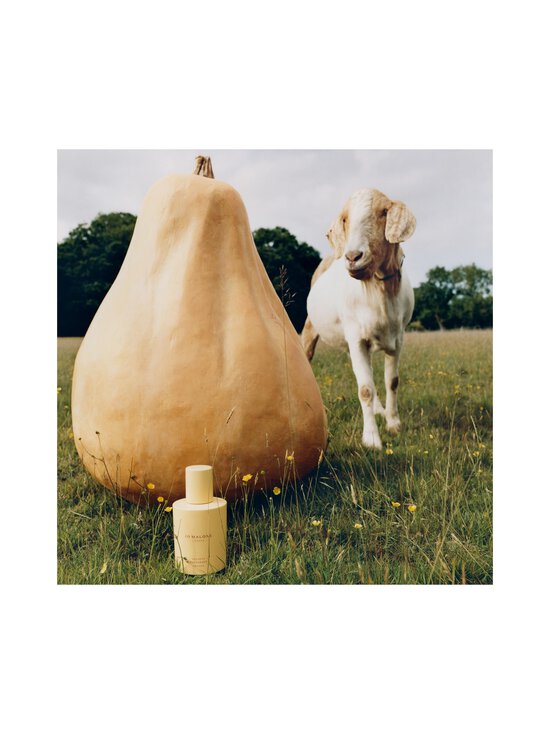 Jo Malone London - Velvety Butternut Cologne -tuoksu - NOCOL | Stockmann - photo 3