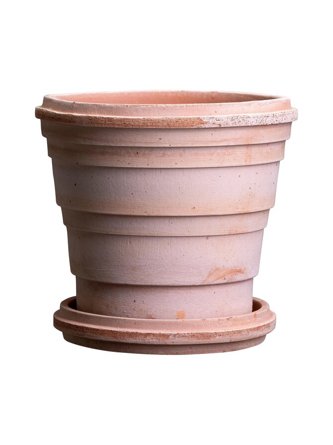 Bergs Potter - Planet Raw Rose -ruukku- Ja Aluslautanen 16 Cm
