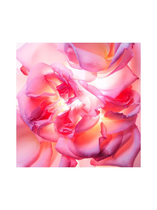Bvlgari - Magnifying Rose EdP -tuoksu - NOCOL | Stockmann - photo 2