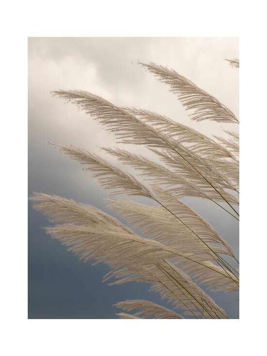 Maison Crivelli - Papyrus Moléculaire Eau de Parfum -tuoksu - NOCOL | Stockmann - photo 13