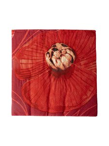 Pentik - Haave-servietti 20 kpl - RED | Stockmann